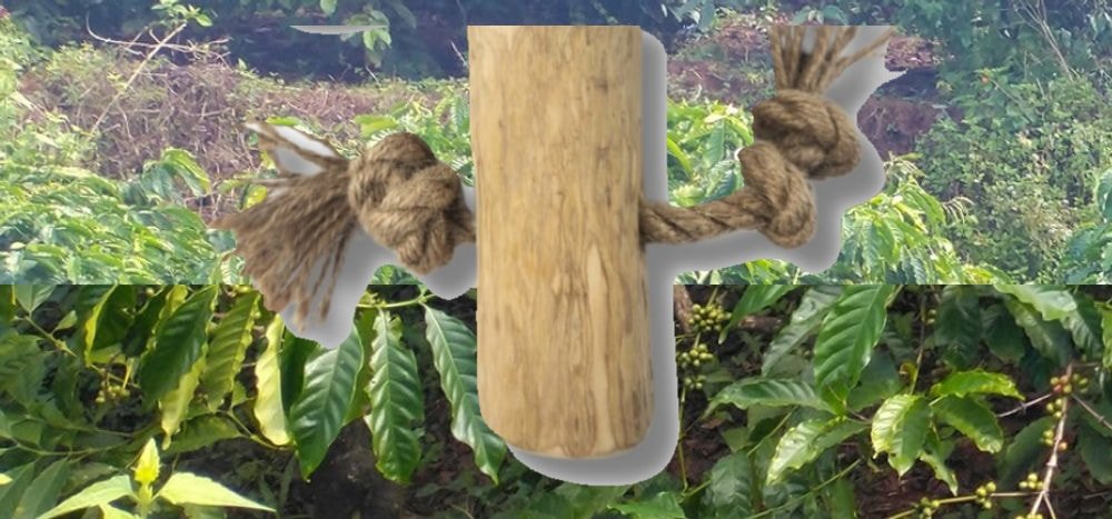 Coffee wood chew with hemp rope, set against coffee leaves