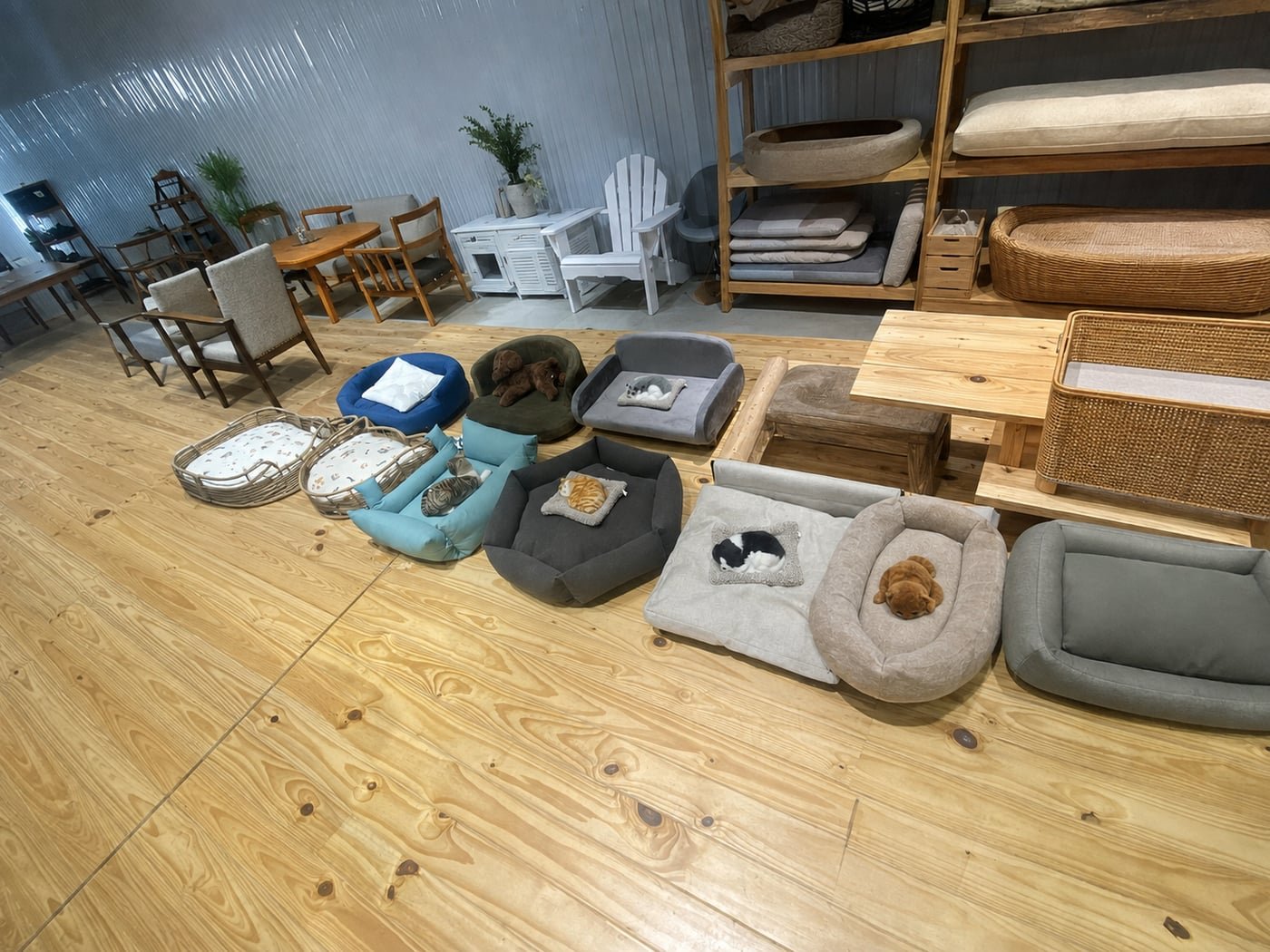 Showroom floor with a range of cushioned pet beds, baskets, and sofa-style beds