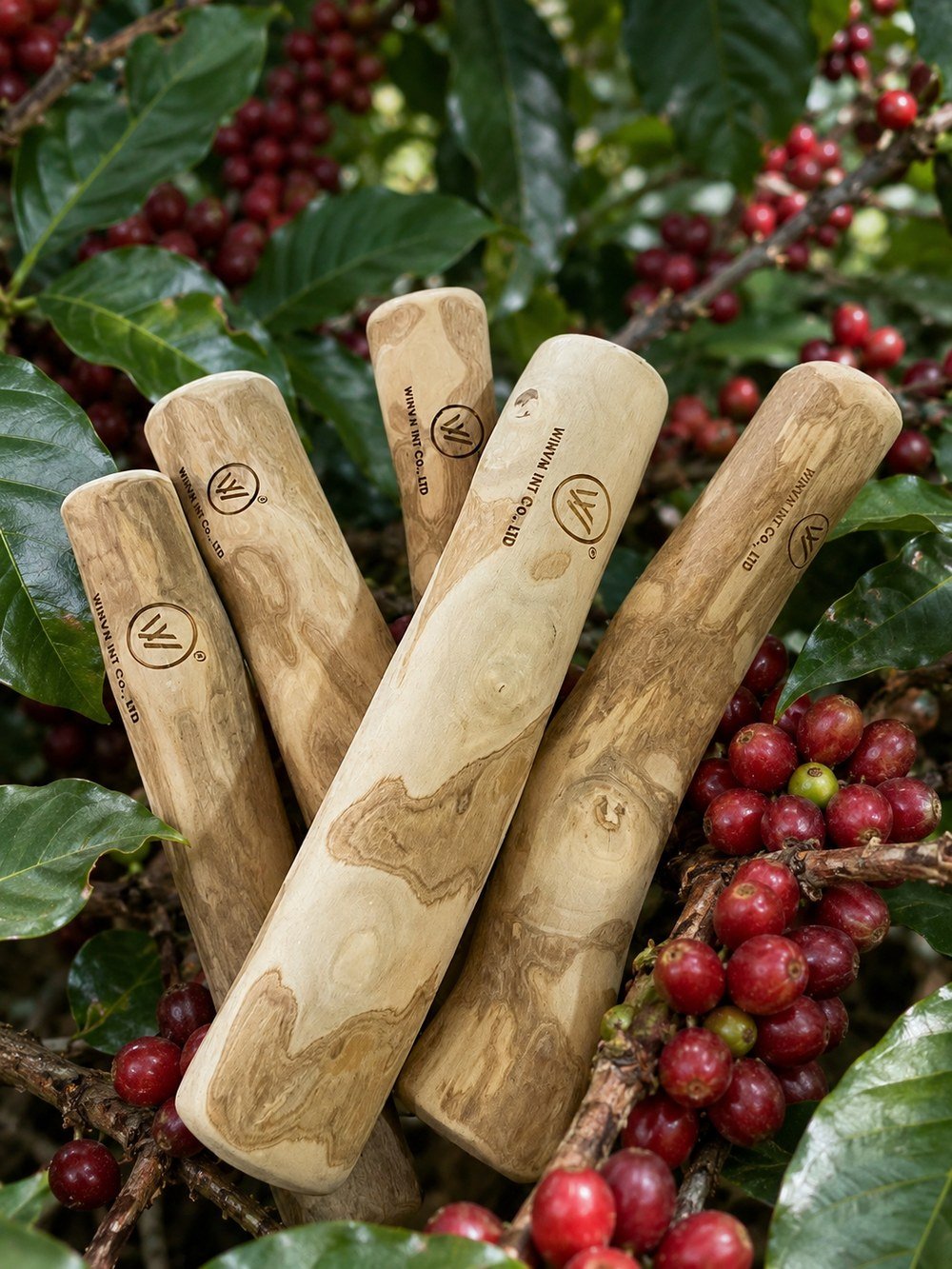 Pile of raw coffee wood chew sticks