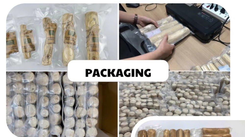 Vacuum-sealed coffee wood chews, individually and in bulk